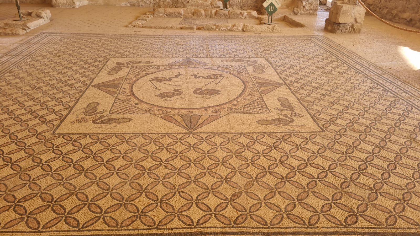 יום גיבוש בבית הכנסת העתיק